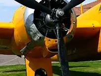 Bearing Propeller Shaft