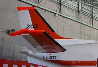 Base Aircraft Wing
