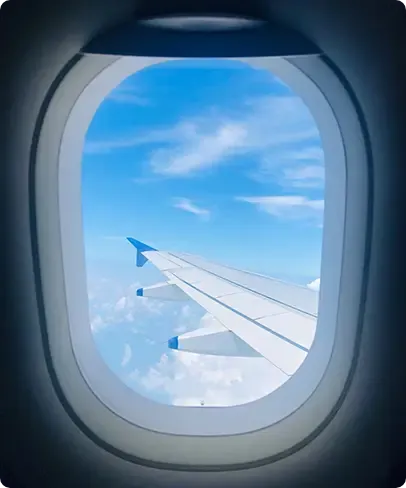 Access Panel Wing